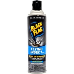 Black Flag Flying Insect