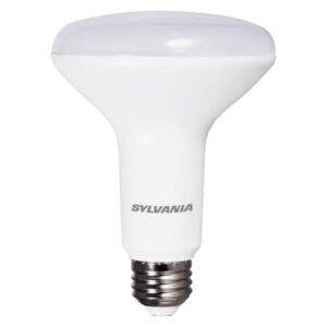LED Flood Bulb Br30 E26