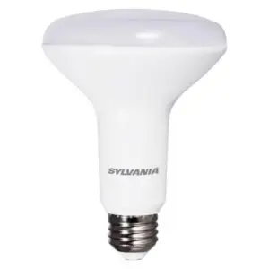 LED Flood Bulb Br30 E26