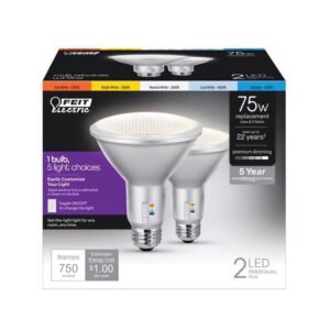 LED Bulb Par30 E26 17.5W