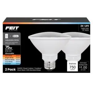 LED Bulb Par30Sn E26