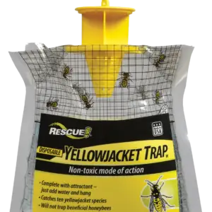 Yellow Jacket Trap Disps
