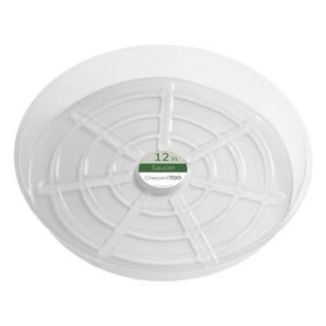 Plant Saucer Rnd Clear 12"