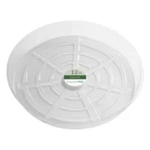 Plant Saucer Rnd Clear 12"