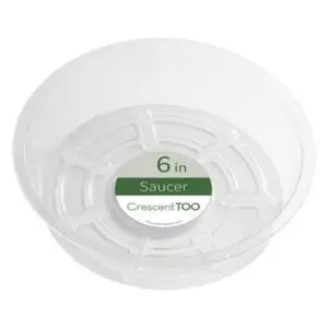 Plant Saucer Rnd Clear 6"