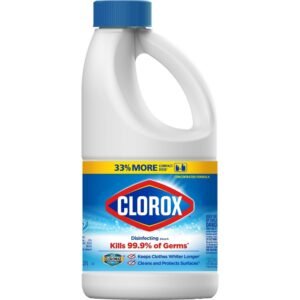 Clorox Bleach Reg 43Oz