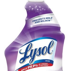 Lysol Mildew Remover32Oz