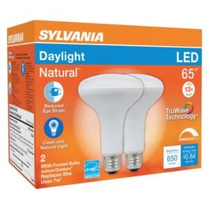 LED Flood Bulb Br30 E26