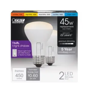 LED Bulb R20 E26 9W