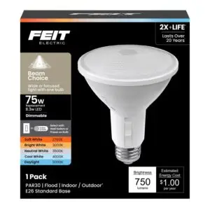 LED Bulb Par30 E26 5W