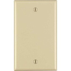 Wall Plate 1G Ivory Blnk