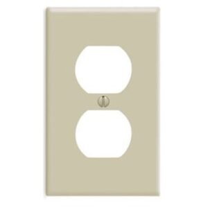 Receptacle Wallplate1Giv