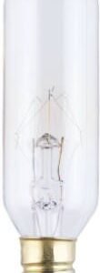 Incandescent Bulb 25W E12