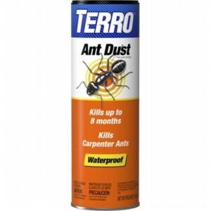 Dust Ant Terro 1#