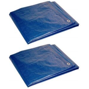 Tarp Blue 8'X10'