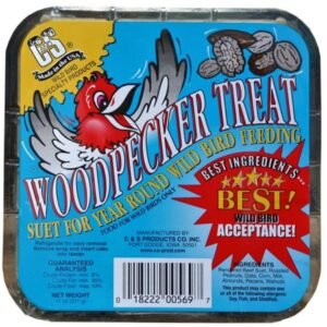 Woodpecker Suet 11Oz