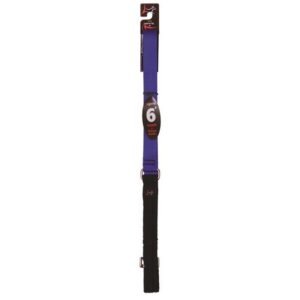 Leash 6' Blue Nylon