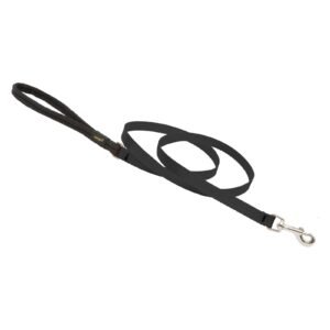 Leash 6' Black Nylon